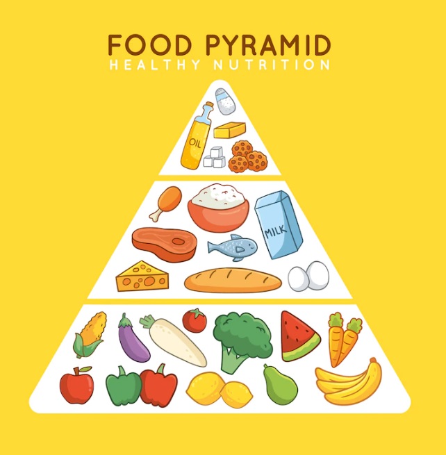 هرم غذایی من