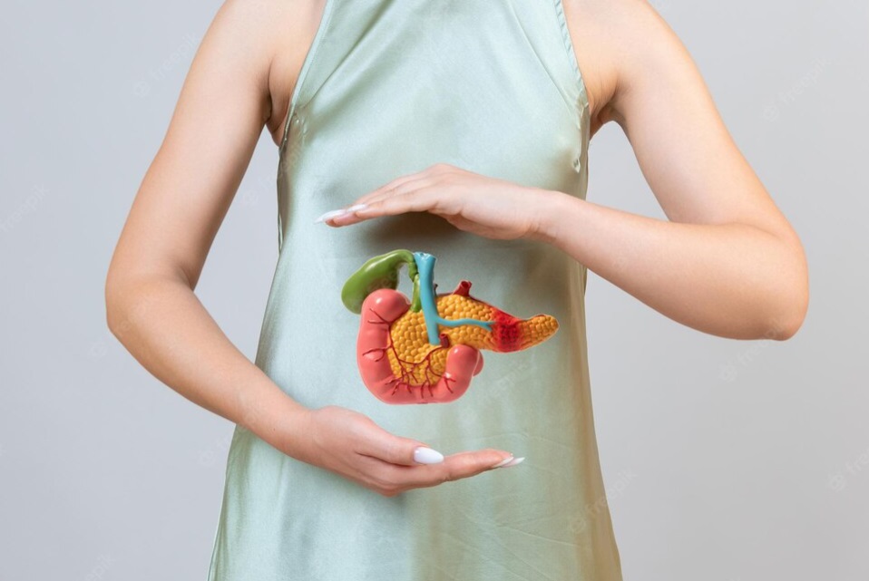 سنگ کیسه صفرا و درمان آن